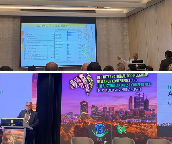 Dr. Shiv Kumar Agrawal and Dr. Fouad Maalouf sharing insights on driving genetic gain in legumes