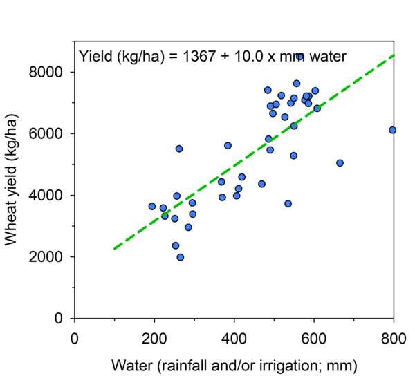 Water and wheat yield relationship