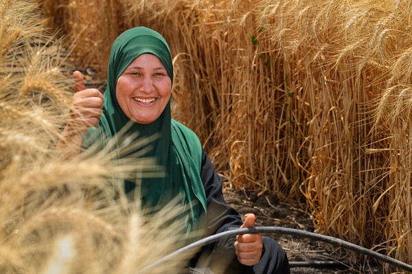 Egyptian farmer