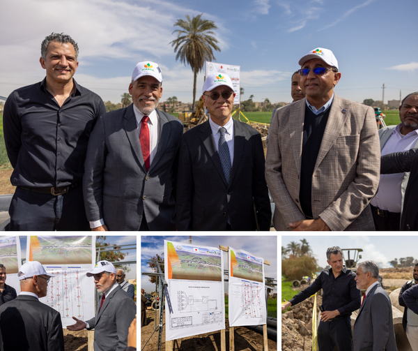 Water Users’ Association sites at The Mesqa (tertiary canal) 
