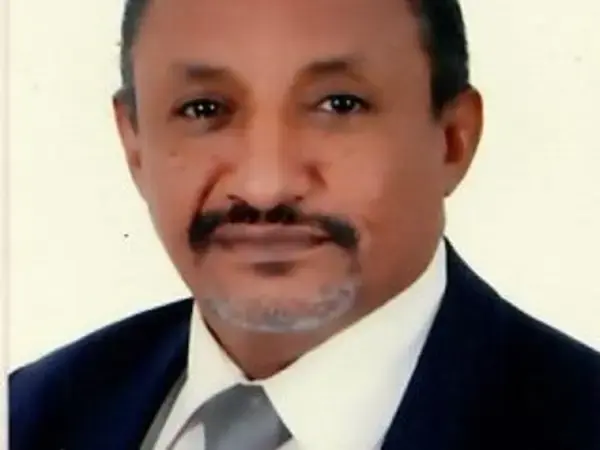Hassan Osman Ahmed El-Awad