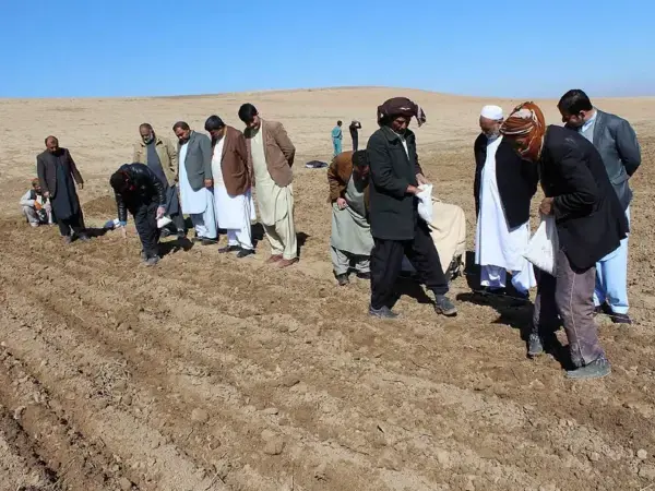 21582.png