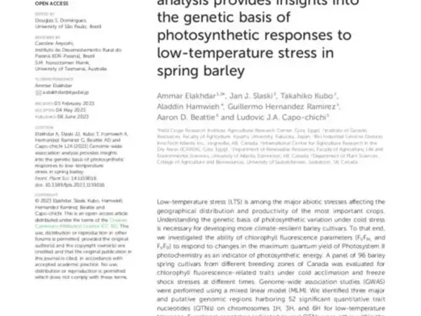 Genome-wide association analysis provides insights into the genetic basis of photosynthetic responses to low-temperature stress in spring barley