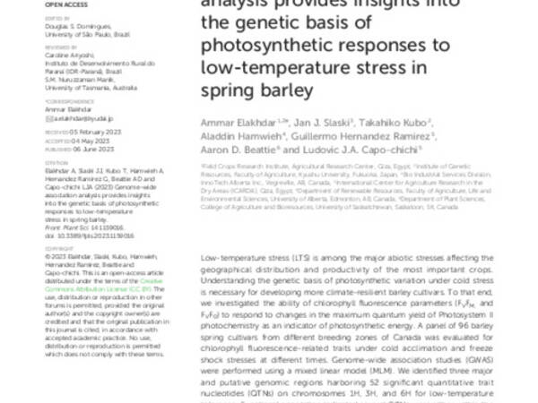 Genome-wide association analysis provides insights into the genetic basis of photosynthetic responses to low-temperature stress in spring barley