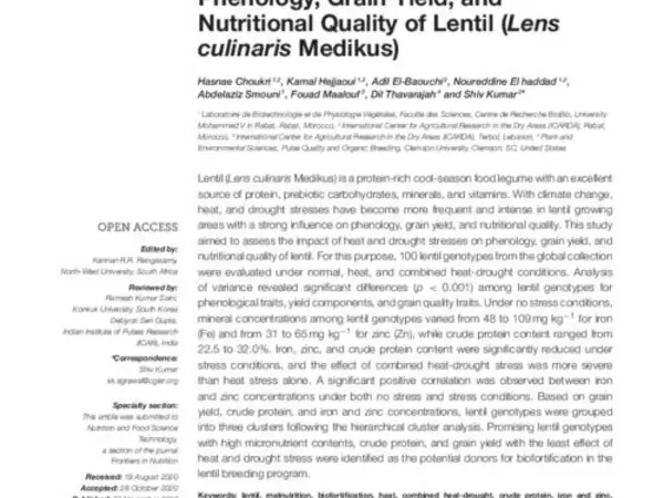 Heat and Drought Stress Impact on Phenology, Grain Yield, and Nutritional Quality of Lentil (Lens culinaris Medikus)