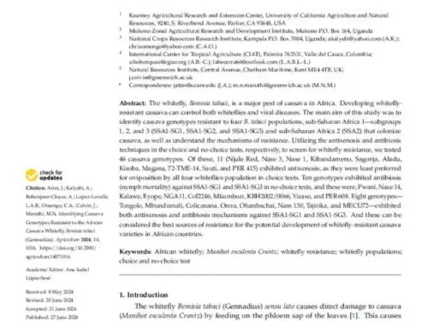 Identifying Cassava Genotypes Resistant to the African Cassava Whitefly, Bemisia tabaci (Gennadius)