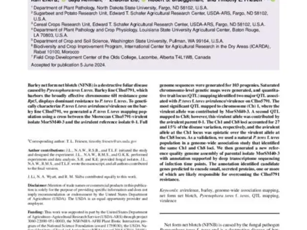 Variability in Chromosome 1 of Select Moroccan Pyrenophora teres f. teres Isolates Overcomes a Highly Effective Barley Chromosome 6H Source of Resistance