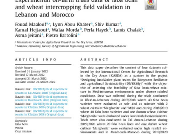 Experimental on-farm trials data of faba bean and wheat intercropping field validation in Lebanon and Morocco