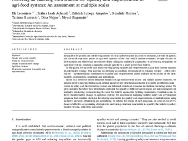 Fostering an enabling environment for equality and empowerment in agri-food systems: An assessment at multiple scales