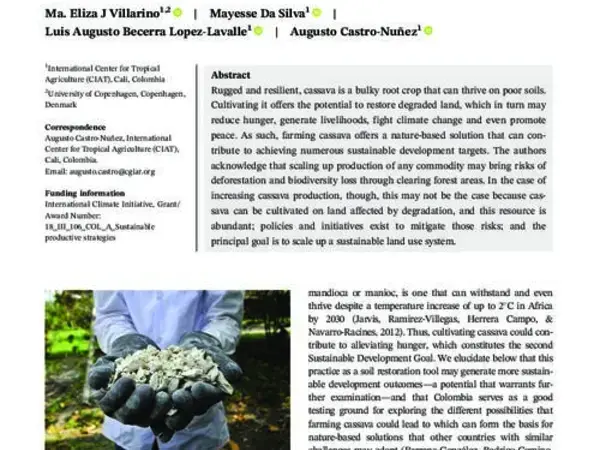 “Rambo root” to the rescue: How a simple, low-cost solution can lead to multiple sustainable development gains