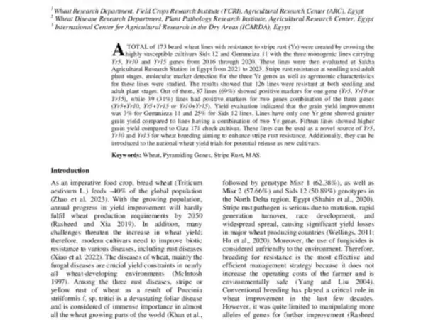 Pyramiding Stripe Rust Resistant Genes Yr5, Yr10 and Yr15 in Sids 12 and Gemmeiza 11 Wheat Derived Lines