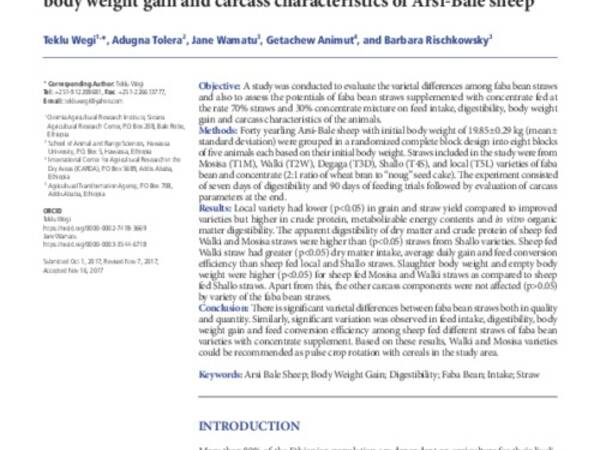 Effects of feeding different varieties of faba bean (Vicia faba L.) straws with concentrate supplement on feed intake, digestibility, body weight gain and carcass characteristics of Arsi-Bale sheep