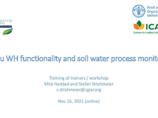 In-situ WH functionality and soil water process monitoring