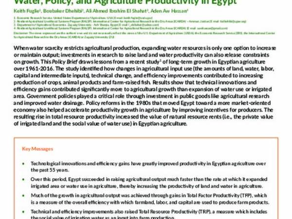 Water, Policy, and Agriculture Productivity in Egypt