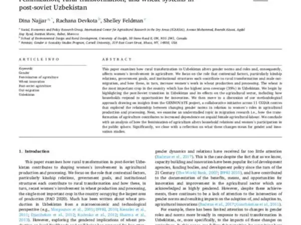 Feminization, rural transformation, and wheat systems in post-soviet Uzbekistan