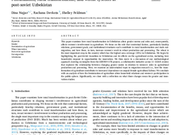 Feminization, rural transformation, and wheat systems in post-soviet Uzbekistan