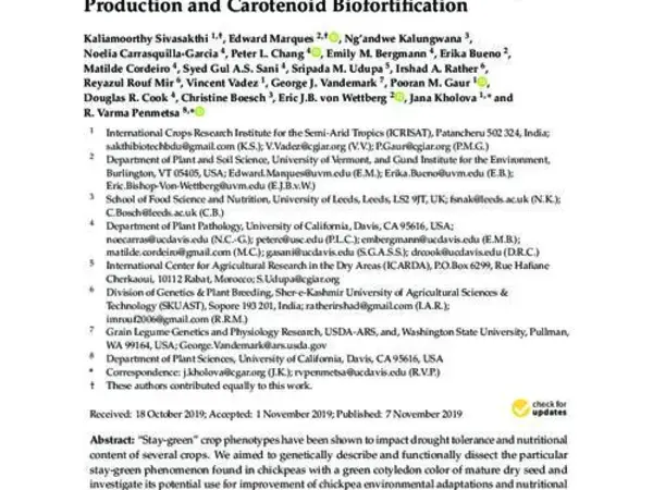 Functional Dissection of the Chickpea (Cicer arietinum L.) Stay-Green Phenotype Associated with Molecular Variation at an Ortholog of Mendel’s I Gene for Cotyledon Color: Implications for Crop Production and Carotenoid Biofortiﬁcation