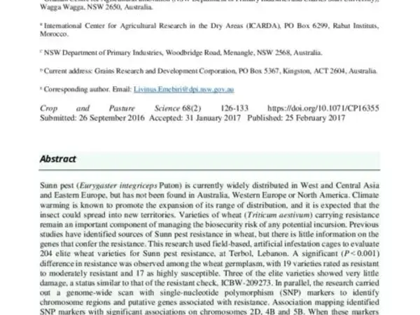 Field-based screening identifies resistance to Sunn pest (Eurygaster integriceps) feeding at vegetative stage in elite wheat genotypes