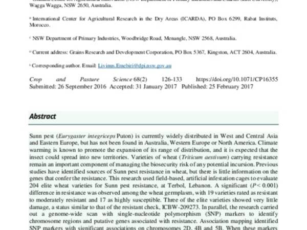 Field-based screening identifies resistance to Sunn pest (Eurygaster integriceps) feeding at vegetative stage in elite wheat genotypes