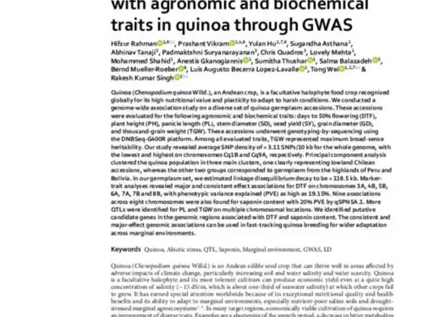 Mining genomic regions associated with agronomic and biochemical traits in quinoa through GWAS