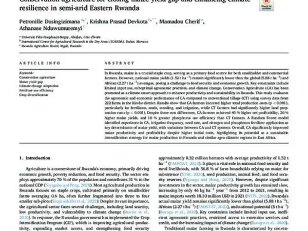 Conservation agriculture for closing maize yield gap and enhancing climate resilience in semi-arid Eastern Rwanda