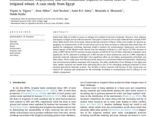 Socioeconomic, biophysical, and environmental impacts of raised beds in irrigated wheat: A case study from Egypt