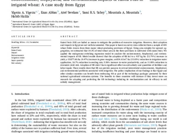 Socioeconomic, biophysical, and environmental impacts of raised beds in irrigated wheat: A case study from Egypt