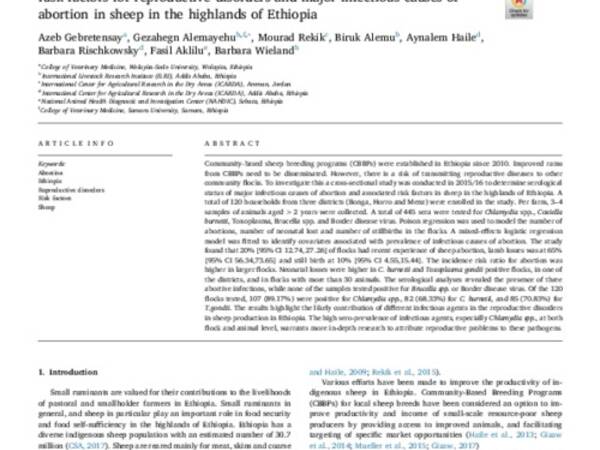 Risk Factors for Reproductive Disorders and Major Infectious Causes of Abortion in Sheep in the Highlands of Ethiopia