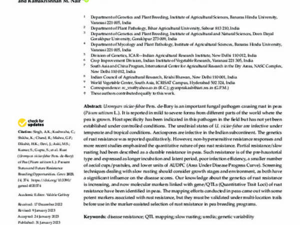 Rust (Uromyces viciae-fabae Pers. de-Bary) of Pea (Pisum sativum L.): Present Status and Future Resistance Breeding Opportunities