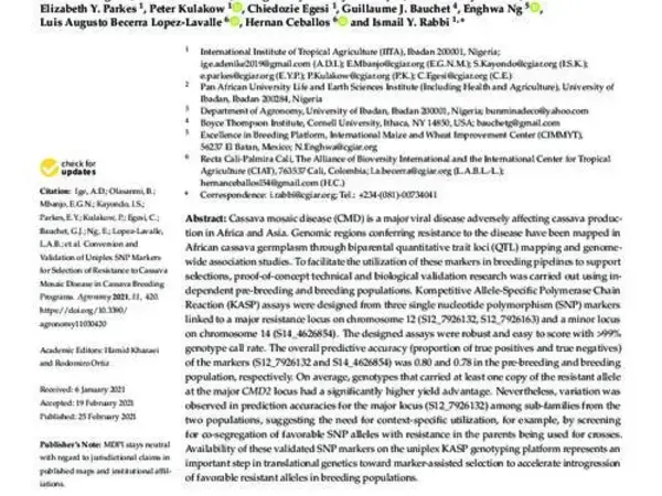 Conversion and Validation of Uniplex SNP Markers for Selection of Resistance to Cassava Mosaic Disease in Cassava Breeding Programs