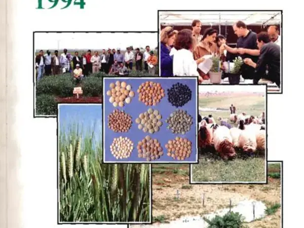 ICARDA Annual Report 1994