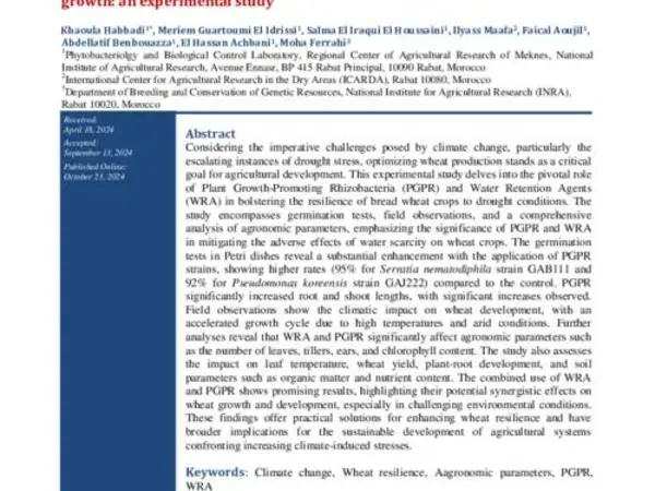 Assessing the impact of PGPR and water retention agents on bread wheat growth: an experimental study