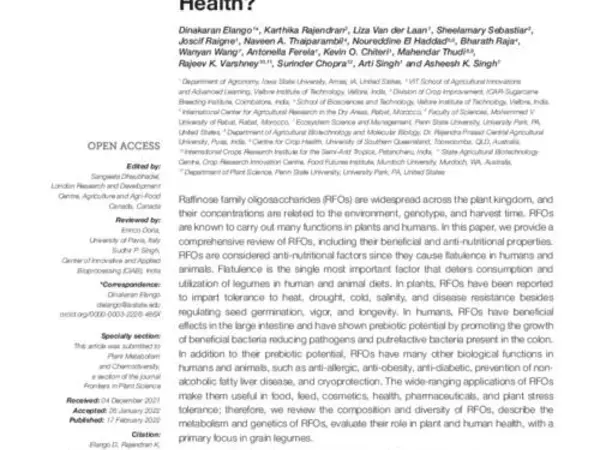 Raffinose Family Oligosaccharides: Friend or Foe for Human and Plant Health?