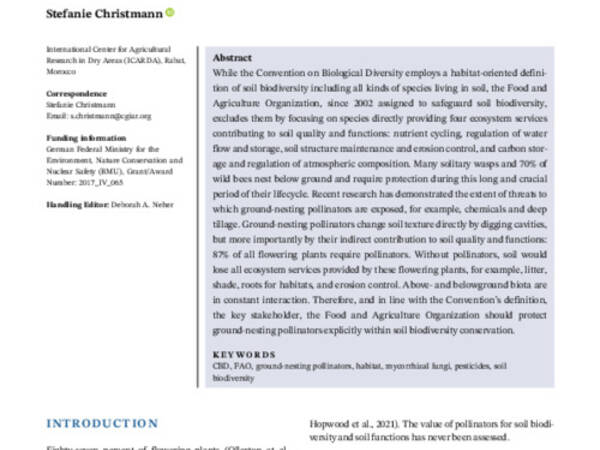 Regard and protect ground-nesting pollinators as part of soil biodiversity