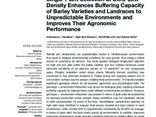 Single-Plant Selection at Ultra-Low Density Enhances Buffering Capacity of Barley Varieties and Landraces to Unpredictable Environments and Improves Their Agronomic Performance