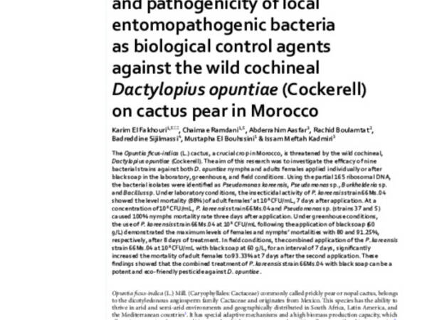 Isolation, identification and pathogenicity of local entomopathogenic bacteria as biological control agents against the wild cochineal Dactylopius opuntiae (Cockerell) on cactus pear in Morocco