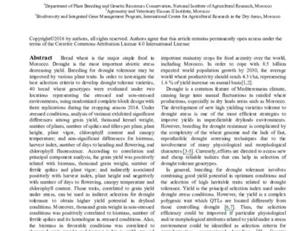 Effective Selection Criteria for Screening Drought Tolerant and High Yielding Bread Wheat Genotypes