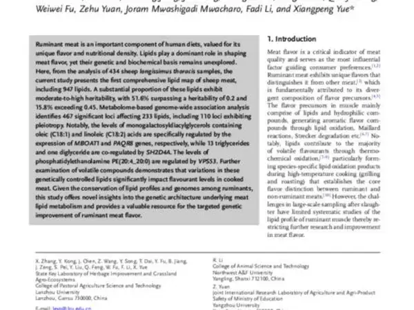 Comprehensive Genetic Map of Muscle Lipidome Reveals Novel Insights Into Flavor Variation in Ruminant Meat
