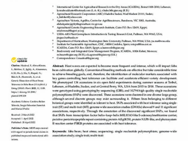 Genetic Dissection of Heat Stress Tolerance in Faba Bean (Vicia faba L.) Using GWAS