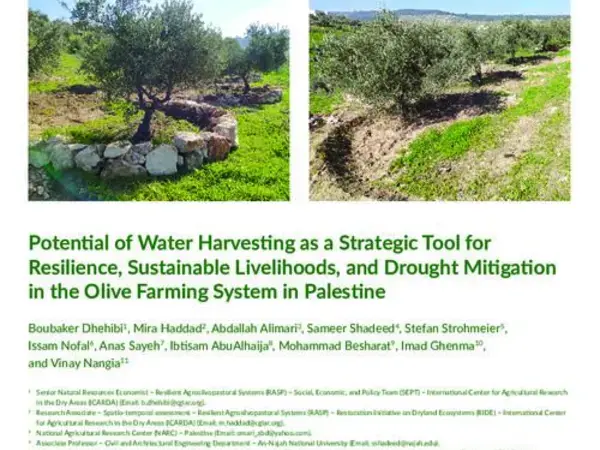 Potential Of Water Harvesting as a Strategic Tool for Resilience, Sustainable Livelihoods, and Drought Mitigation in the Olive Farming System in Palestine