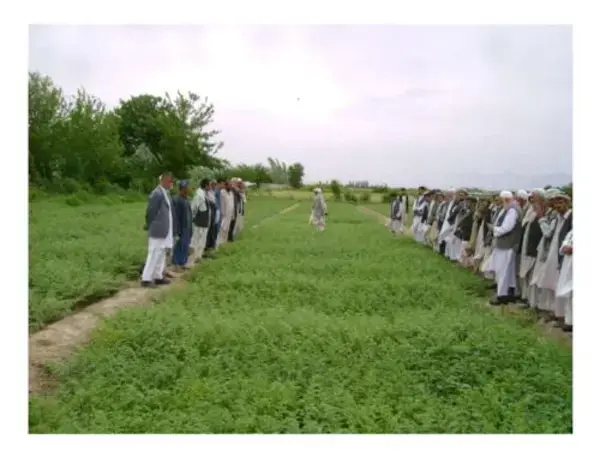 ICARDA 2014 Financial Statement