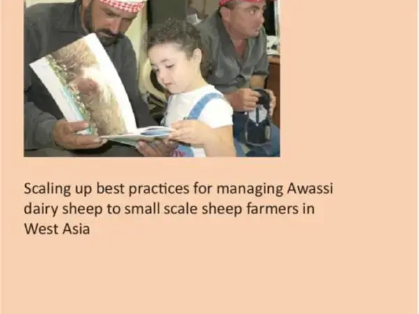 Scaling up best practices for managing Awassi dairy sheep to small scale sheep farmers in West Asia