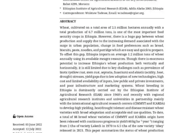 Wheat Production and Breeding in Ethiopia: Retrospect and Prospects