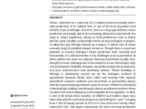 Wheat Production and Breeding in Ethiopia: Retrospect and Prospects