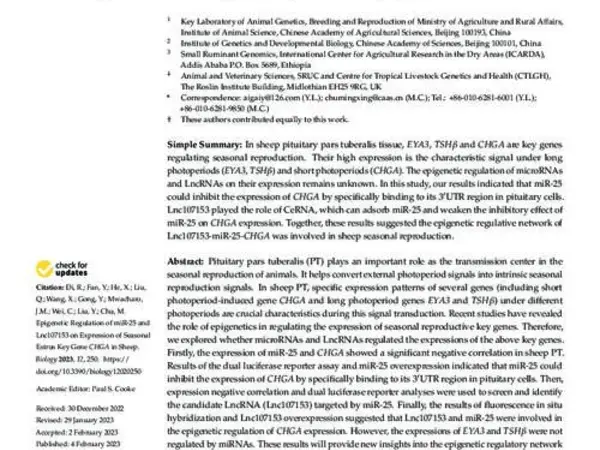 Epigenetic Regulation of miR-25 and Lnc107153 on Expression of Seasonal Estrus Key Gene CHGA in Sheep