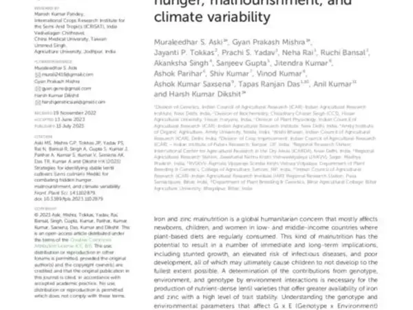 Strategies for identifying stable lentil cultivars (Lens culinaris Medik) for combating hidden hunger, malnourishment, and climate variability