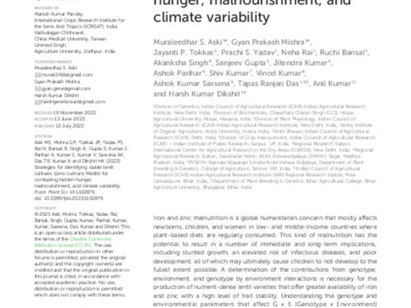 Strategies for identifying stable lentil cultivars (Lens culinaris Medik) for combating hidden hunger, malnourishment, and climate variability