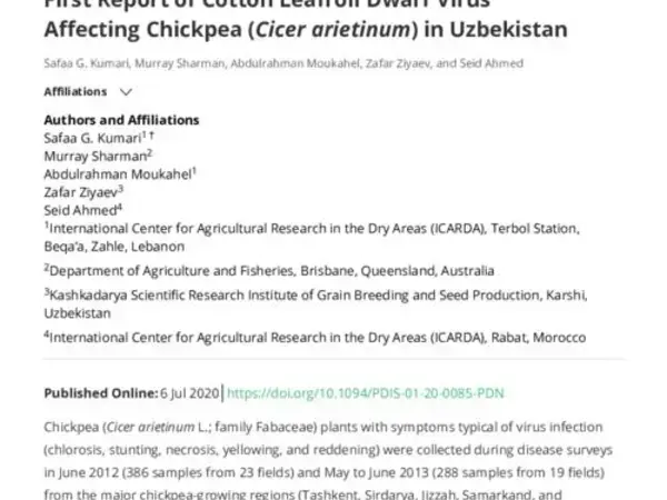First report of Cotton leafroll dwarf virus affecting chickpea (Cicer arietinum L.) in Uzbekistan