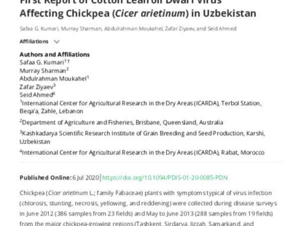 First report of Cotton leafroll dwarf virus affecting chickpea (Cicer arietinum L.) in Uzbekistan