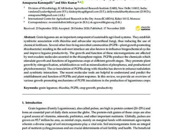 Significance of Plant Growth Promoting Rhizobacteria in Grain Legumes: Growth Promotion and Crop Production
